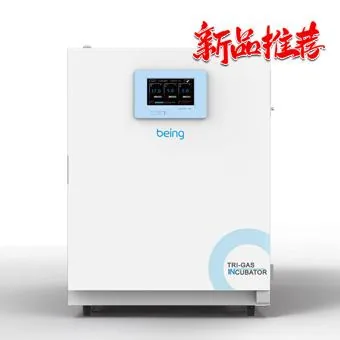 贝茵三气培养箱 BIO-RHP Ⅲ系列