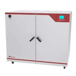 博迅 BXP-530 电热恒温培养箱
